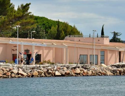 Musée : Changement de nom en hommage à Louis HIGOUNET