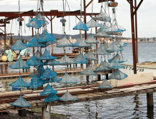 SOUTENONS NOS CONCHYLICULTEURS