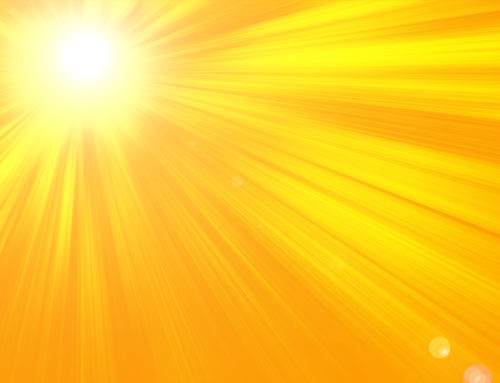 IMPORTANT – PLAN CANICULE