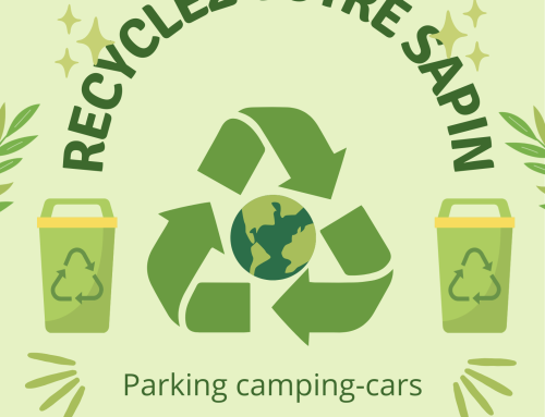 Une deuxième vie pour votre sapin de Noël