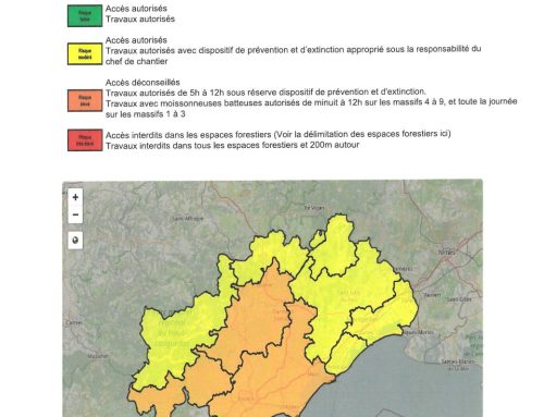 INFORMATION JOURNALIÈRE VIGILANCE INCENDIE DE FORET