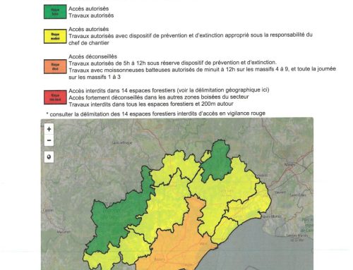 VIGILANCE INCENDIE FORET
