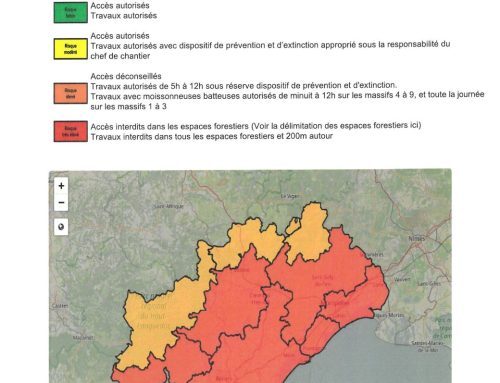 INFORMATION JOURNALIÈRE VIGILANCE INCENDIE DE FORET